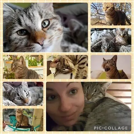 Au Moulin De La Tour Kwatera prywatna *