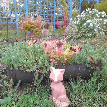 Quarto em Acomodações Particulares Au Moulin De La Tour
