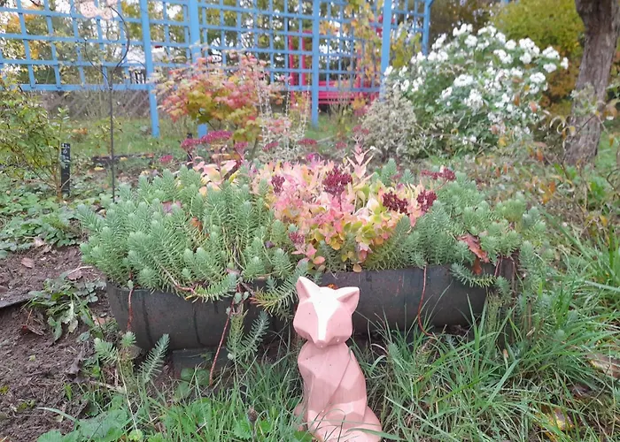 Habitación en casa particular Au Moulin De La Tour